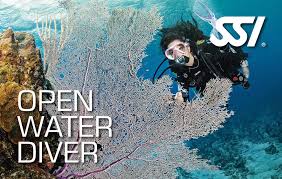 SSI-Open Water Course and Junior Open Water